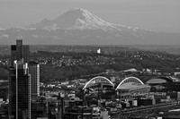IMG_0241
