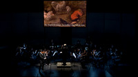 Soloist: Siwoo Kim