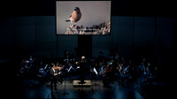 Soloist: Siwoo Kim