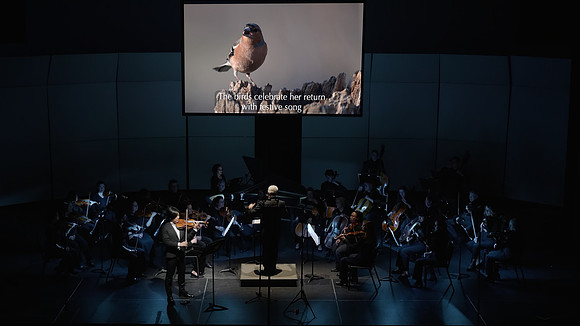 Soloist: Siwoo Kim