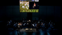 Soloist: Siwoo Kim